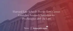 Read more about the article Harvard Law School’s Petrie-Flom Center Launches Research Initiative on Psychedelics and the Law