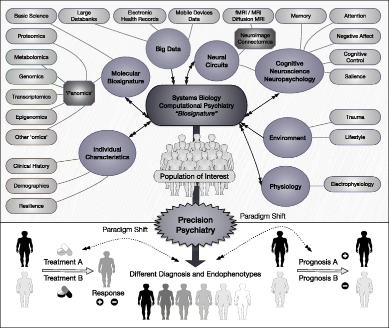 Domains related to precision psychiatry