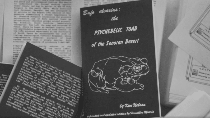 Bufo Pamphlet