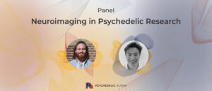 Read more about the article Panel: Neuroimaging in Psychedelic Research