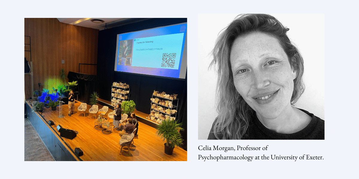 Celia Morgan Breaking Convention