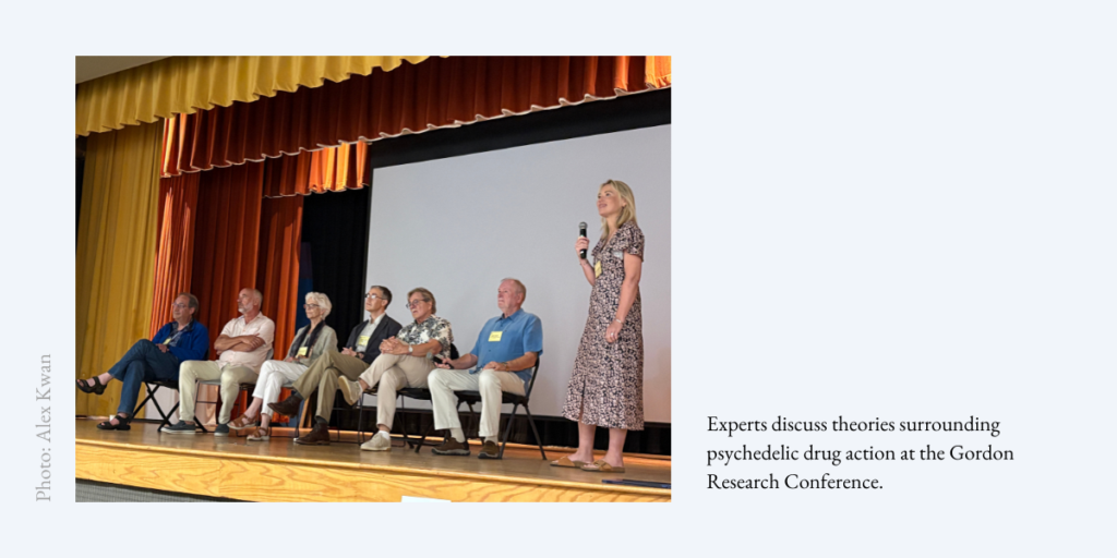 Experts discuss theories surrounding psychedelic drug action at the Gordon Research Conference.