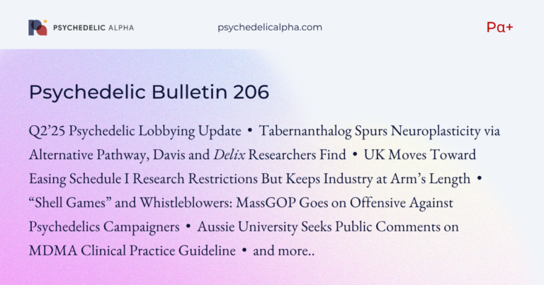Bulletin 206