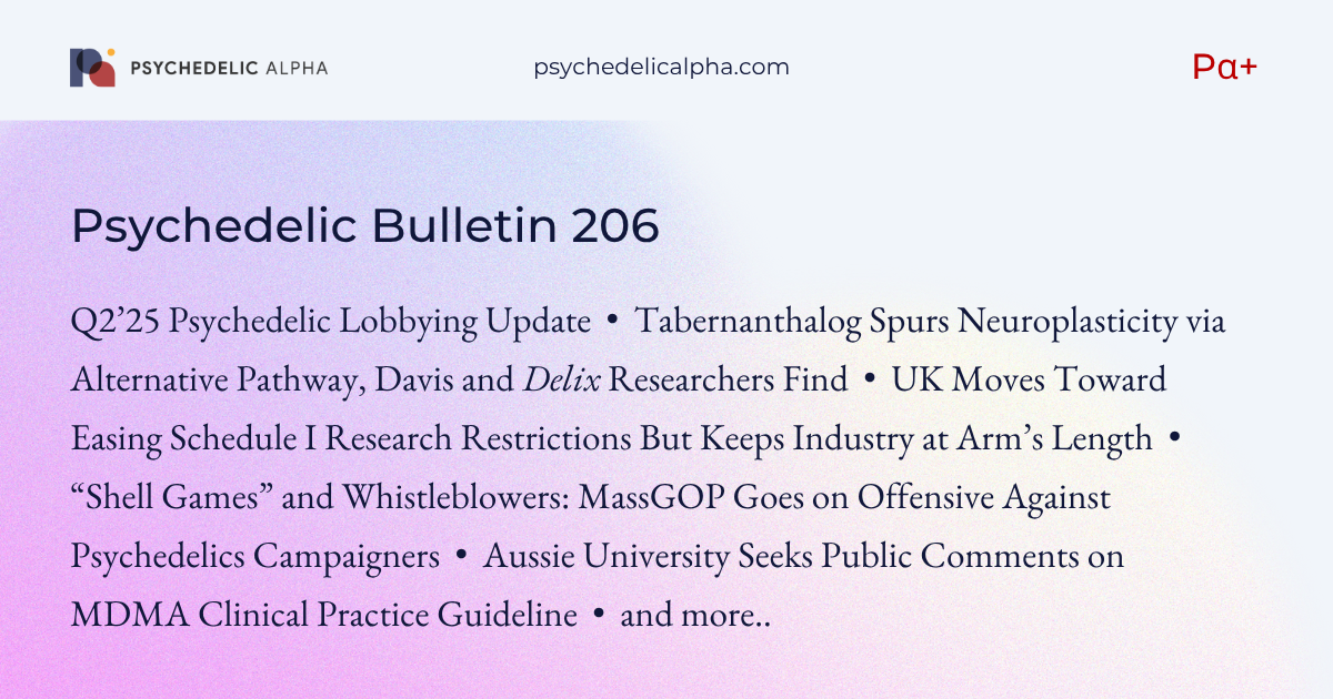 Bulletin 206