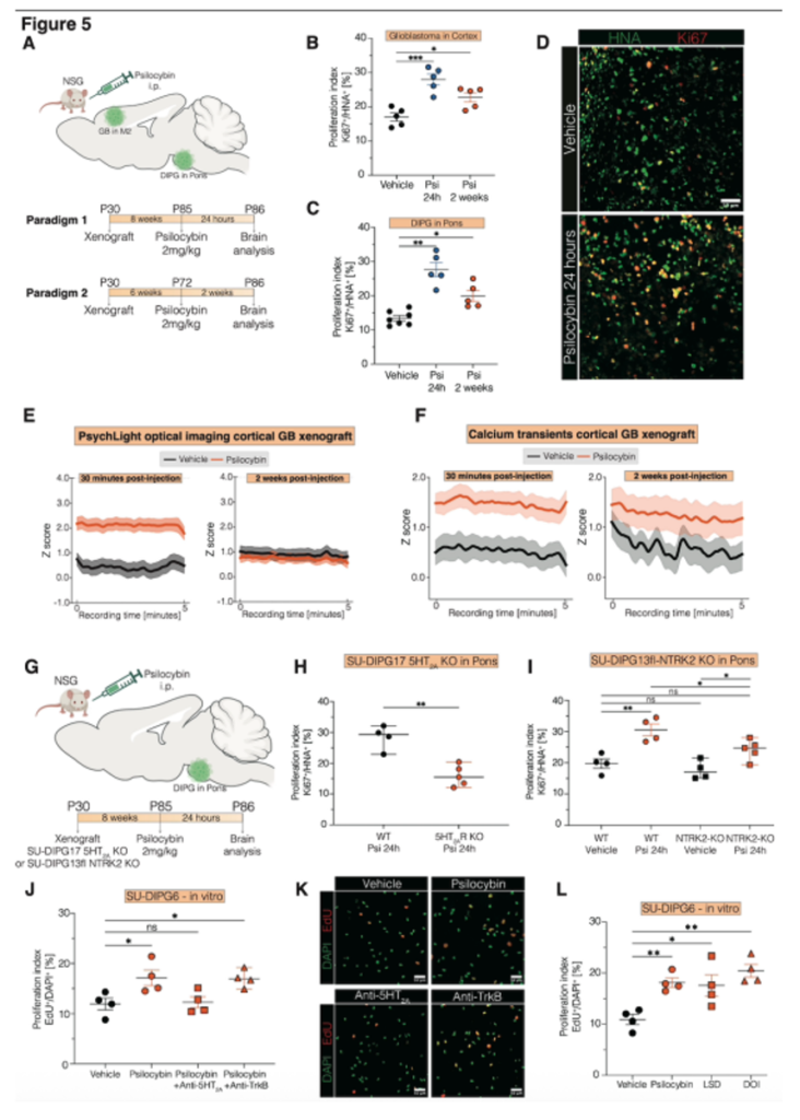 Fig 5 Glioma Preprint