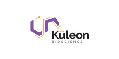 Kuleon Logo Chip