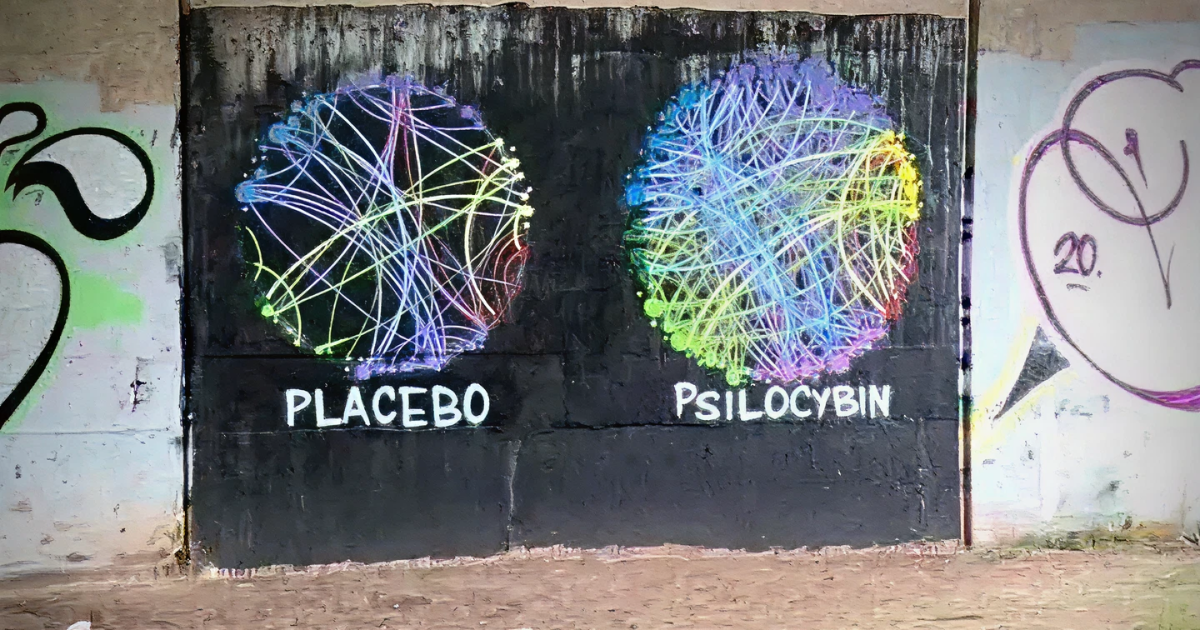 Michael Pollan’s - Grafitti