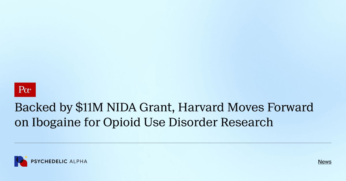 Backed by $11M NIDA Grant, Harvard Moves Forward on Ibogaine for Opioid Use Disorder Research